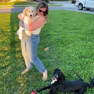 Meet your Posher, Abigail